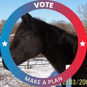 Meet your Posher, Teresa